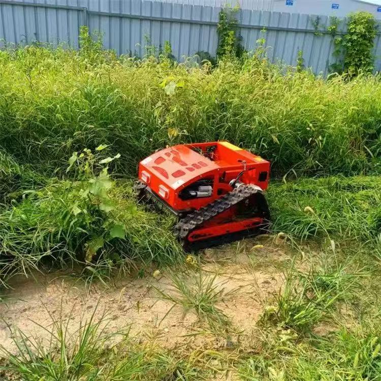 Smart Remote Control Rotatin W - огляд і ціна Smart Garden Trimmer