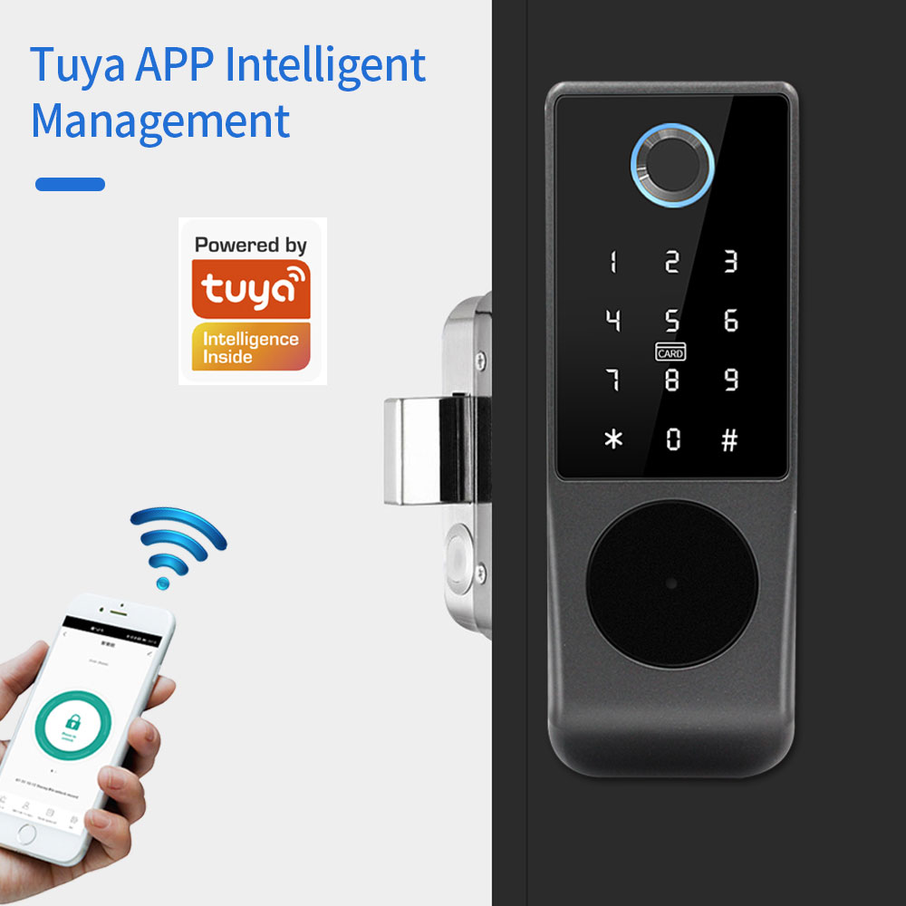 TUYA WIFI Smart Door Lock Fing - огляд і ціна Smart Garden Lock