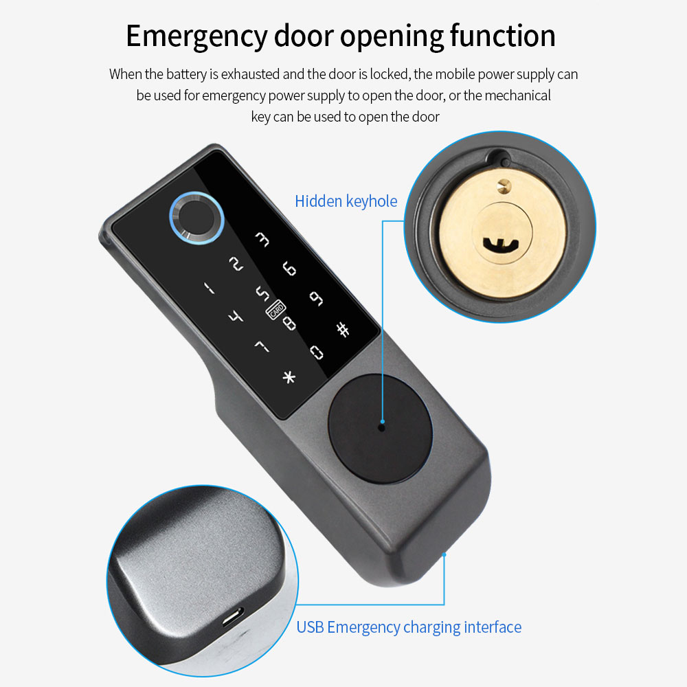 TUYA WIFI Smart Door Lock Fing - огляд і ціна Smart Garden Lock