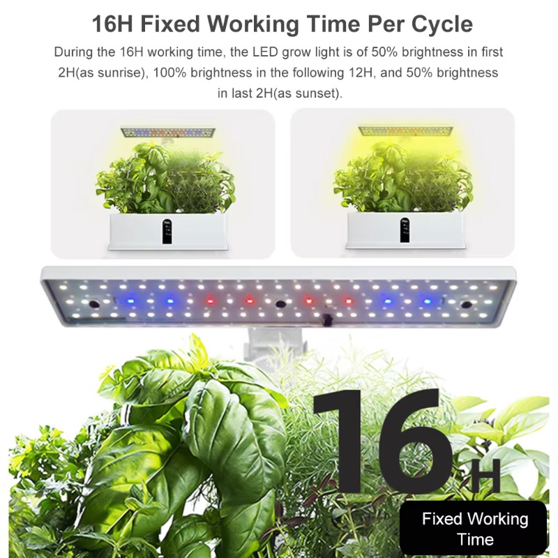 9 Pods Smart Hydroponics Growi - огляд і ціна Smart Garden Lighting System