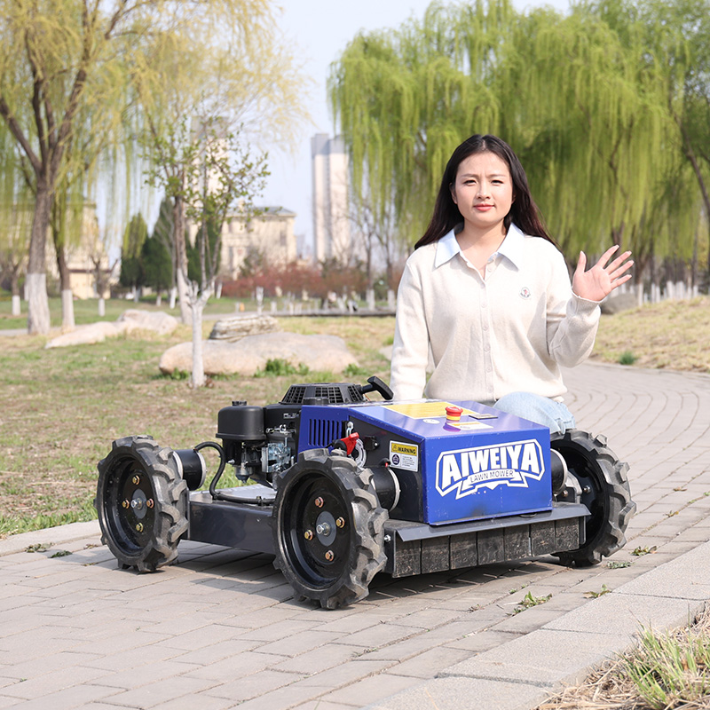 Customized Automatic Robot Law - огляд і ціна Smart Garden Trimmer