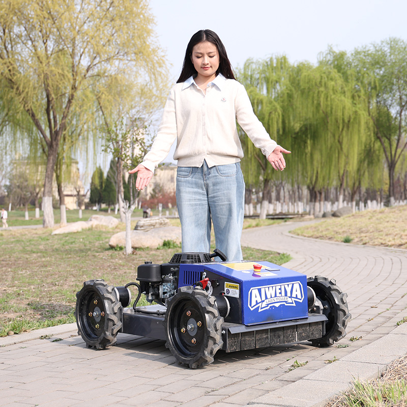 Customized Automatic Robot Law - огляд і ціна Smart Garden Trimmer