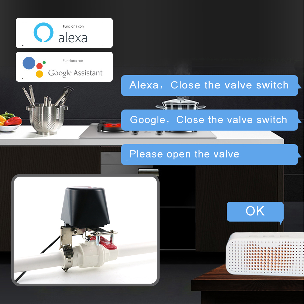 Zigbee Smart Gas Valve WIFI Ga - огляд і ціна Smart Garden Instructions