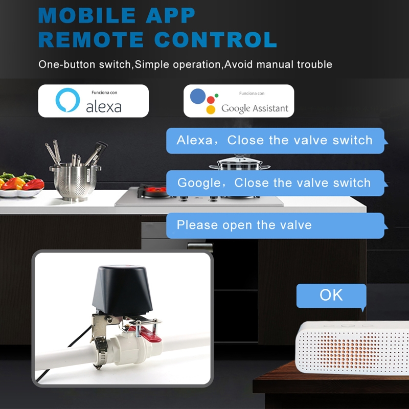 Tuya Smart Gas Valve WIFI Gard - огляд і ціна Smart Garden Water Timer
