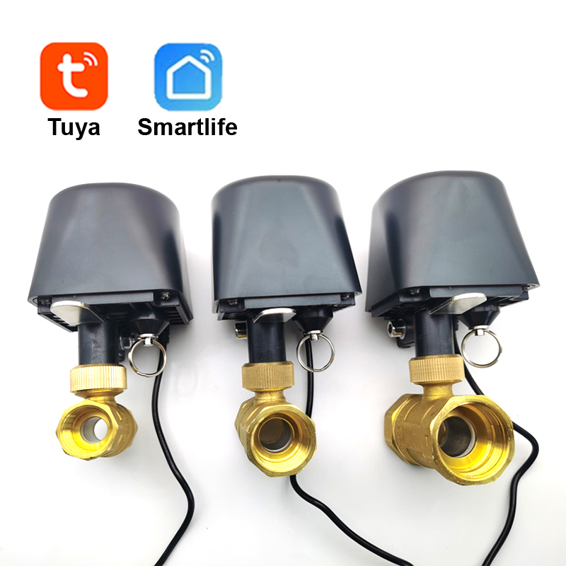 Tuya WiFi or Zigbee Water Valv - огляд і ціна Smart Garden Water Timer